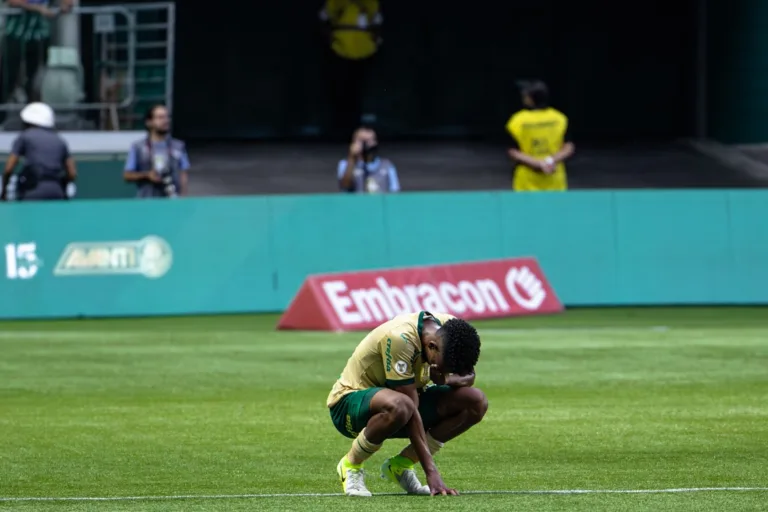 Estêvão em campo pelo Palmeiras (Foto: Danilo Martins Yoshioka)