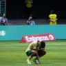 Estêvão em campo pelo Palmeiras (Foto: Danilo Martins Yoshioka)