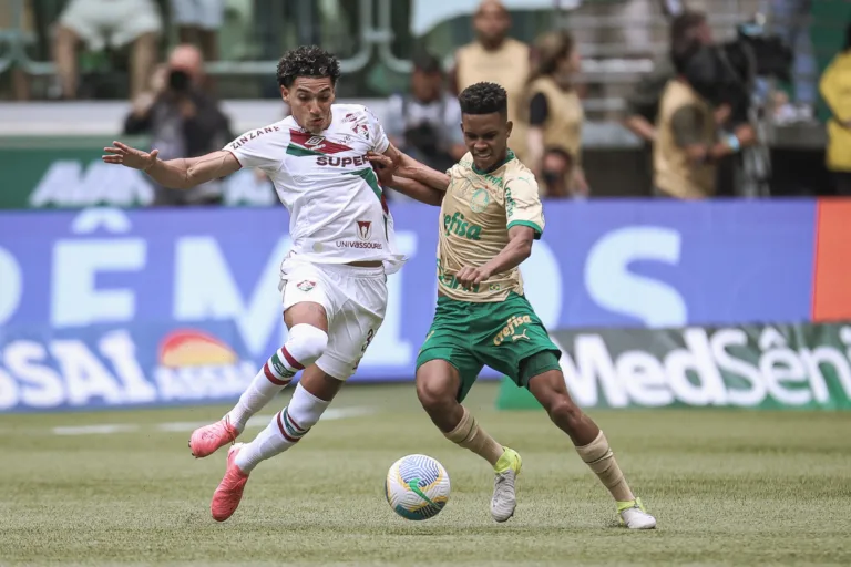 Palmeiras e Fluminense pelo Brasileirão (Foto: Marcelo Gonçalves/Fluminense)